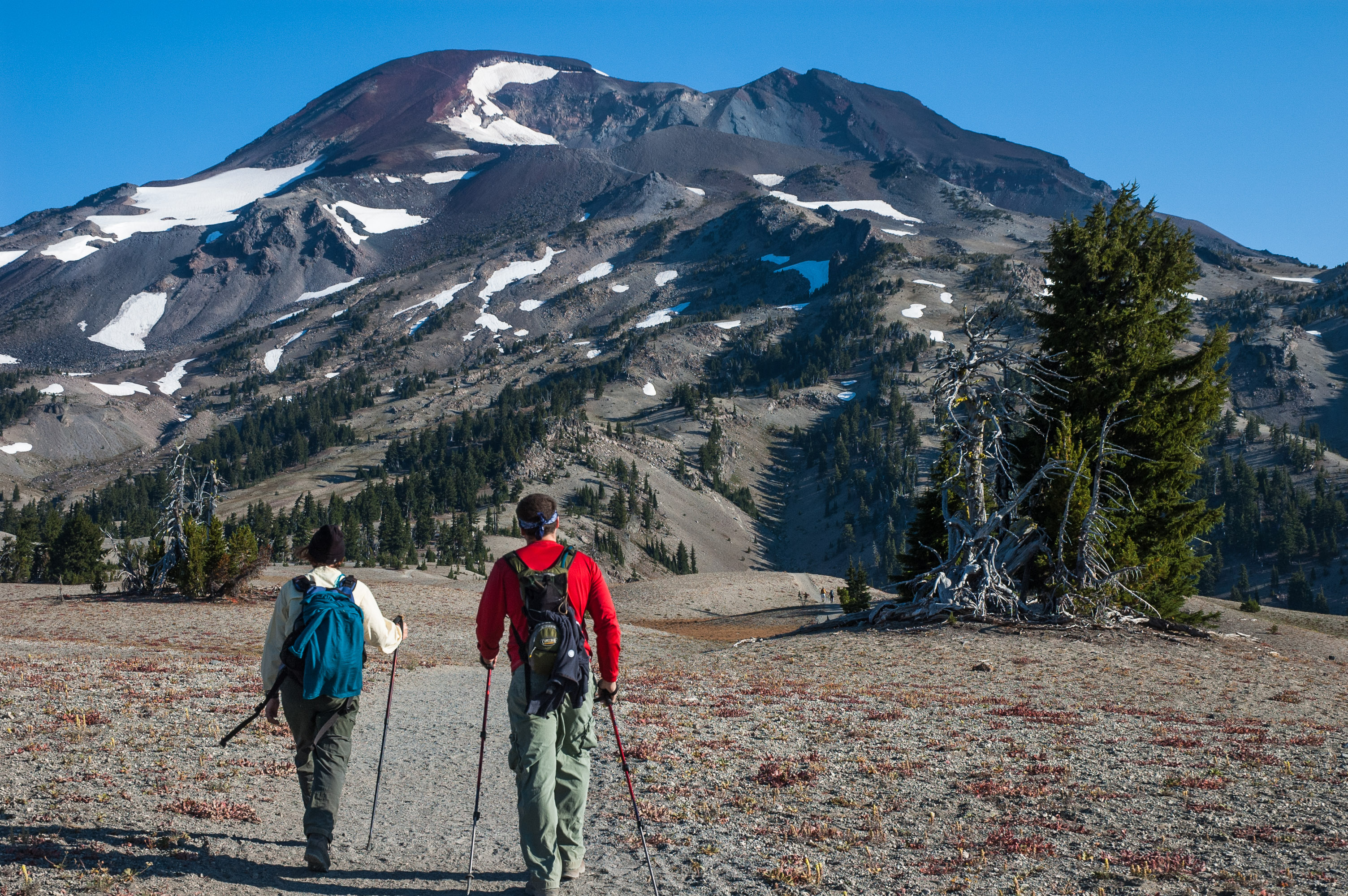 In search of subalpine native grasses, we're headed to the top of South Sister. Photo by Robert Korfhage.